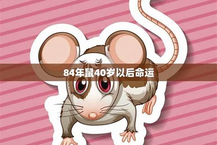 属鼠男2023年全年运势如何,属鼠今年的财运和运势