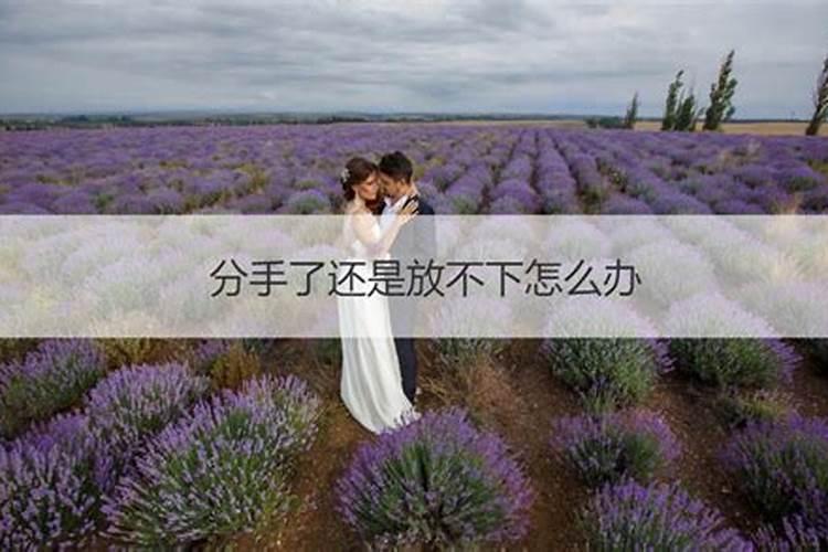 为什么分手后一个多月天天梦到他