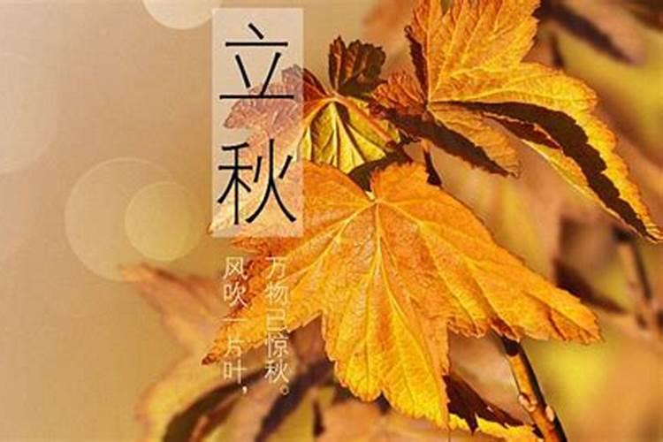 犯太岁有几种类别的,哪一种最严重的