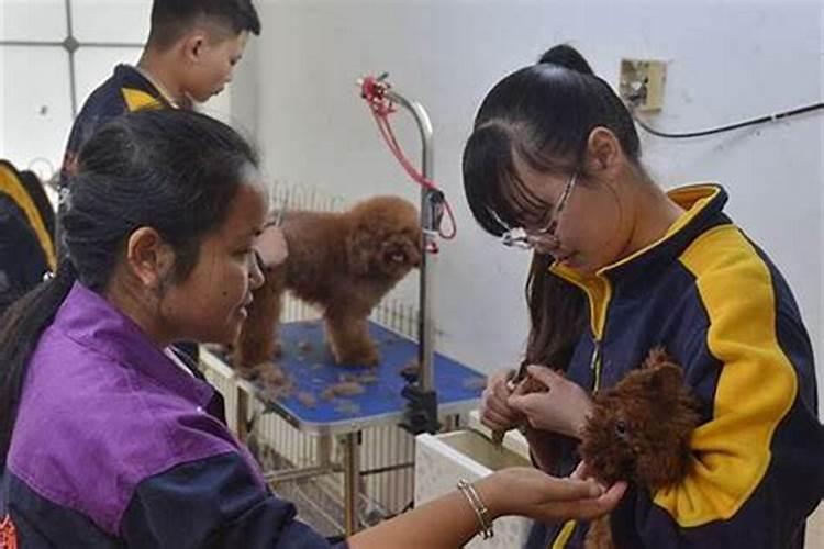 属狗的女人嫁给属龙的怎么样 狗龙婚姻的结局
