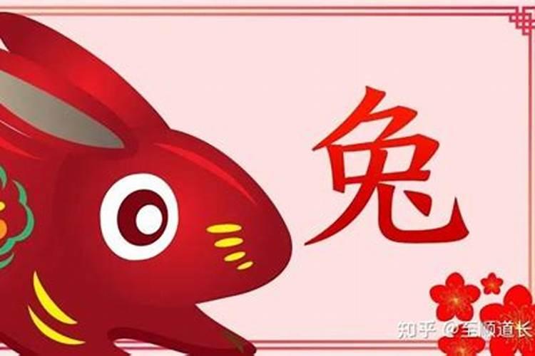 属兔多大年龄2024 属兔2024年运势运程