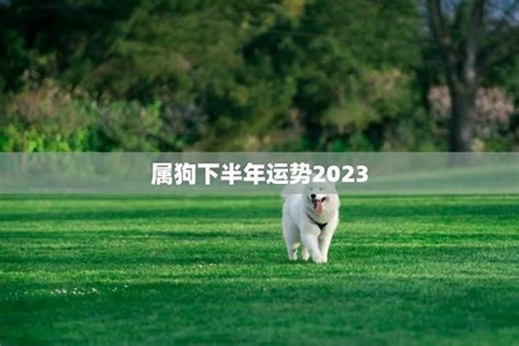 家中摆什么旺孩子学业