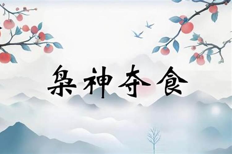 忌枭,遇枭运之食神流年,是什么意思啊。