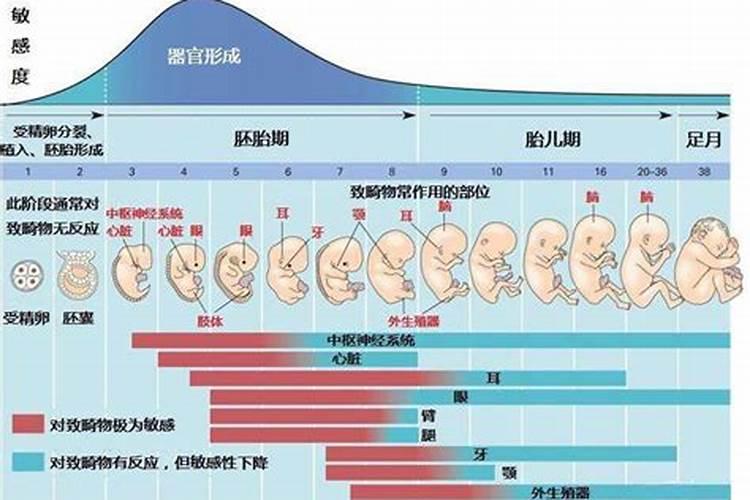 孕妇二月二能出门吗