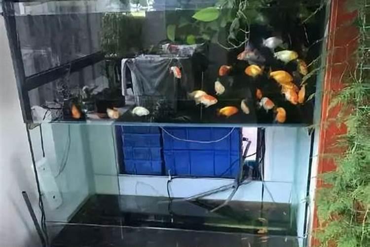 神巴巴算命网免费