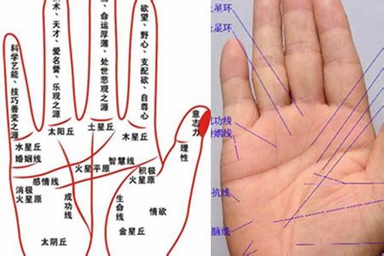 为什么不能随便看手相