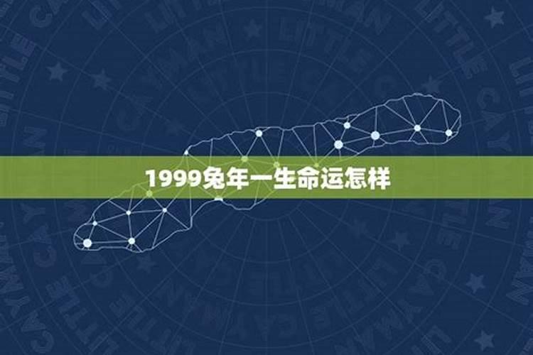 1999年属兔二月出生的命运 99年二月出生的人一生丰衣足食？