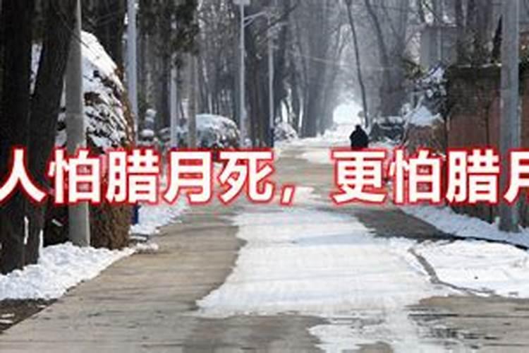 男怕腊月龙女怕正月蛇什么意思