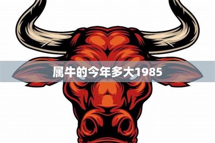 85年牛女2025年的运势和婚姻
