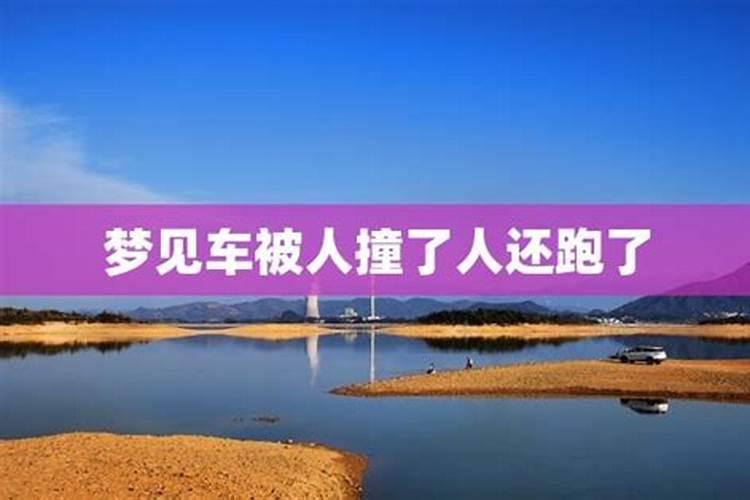 梦到买东西被坑还吵架代表着什么
