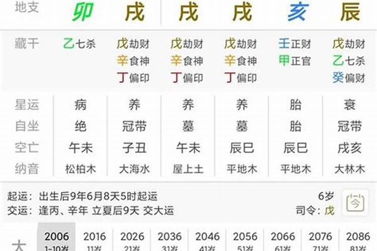 流年下面的小运是什么？