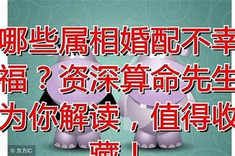 紫水晶真的招财吗？
