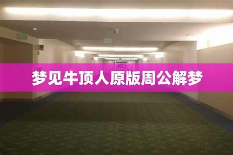 梦见被牛顶是什么意思,是吉还是凶？
