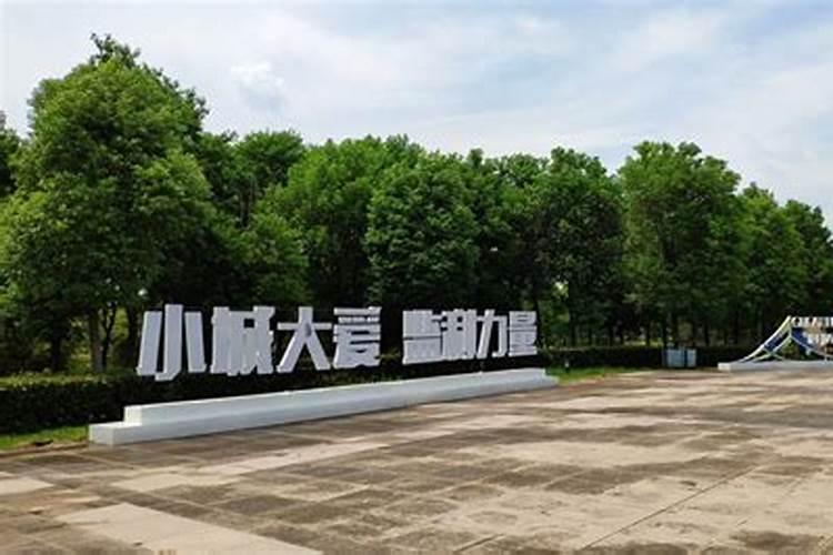 梦见生三胞胎的预兆