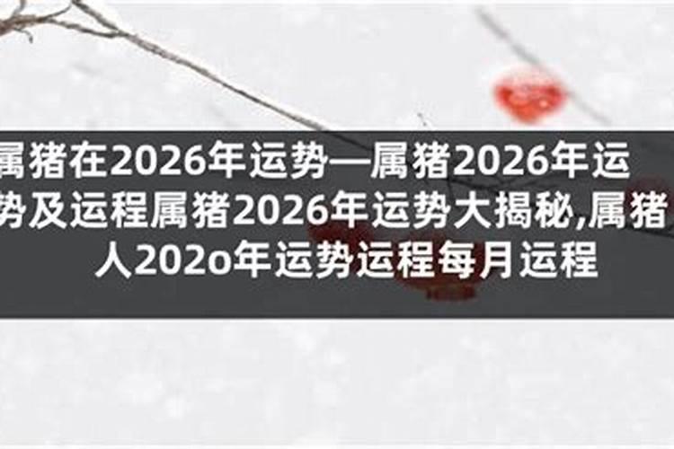 属蛇今年运势2026年运势如何