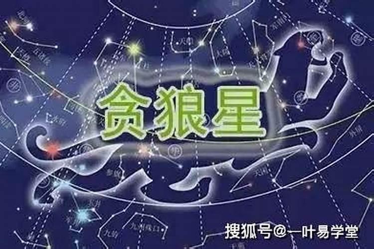 74年属虎48岁后的一生命运是怎样的？