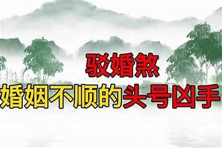 2025年各属相运势及运程