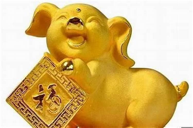 属猪人在什么年份运势最旺