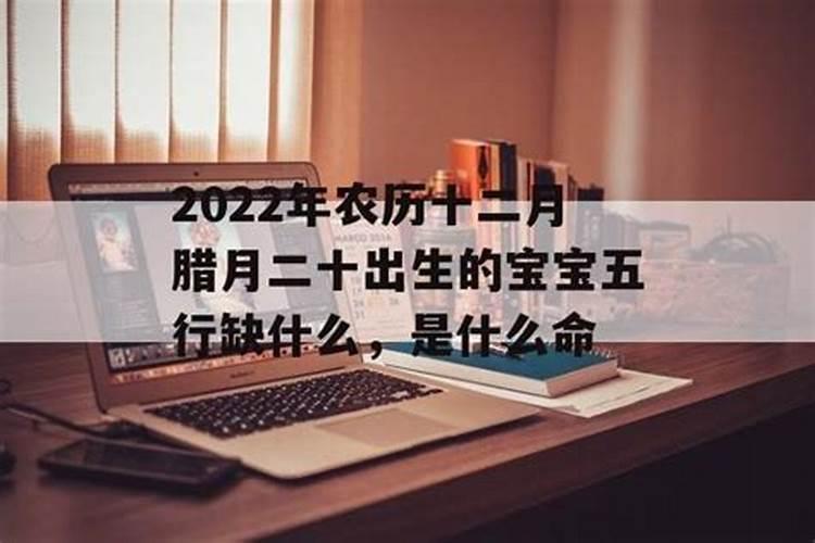 先生您好,请问阴历1995年腊月20生的