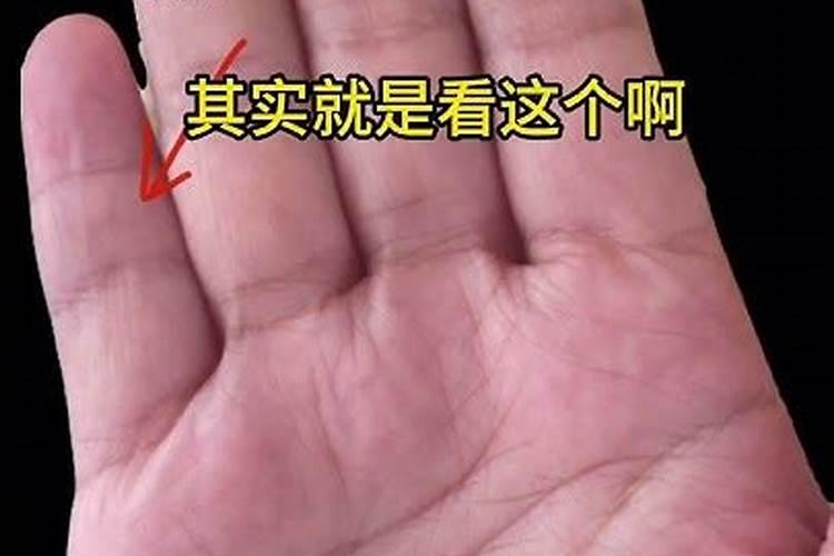 婚姻合不合看属相还是看八字 八字合婚只看属相吗