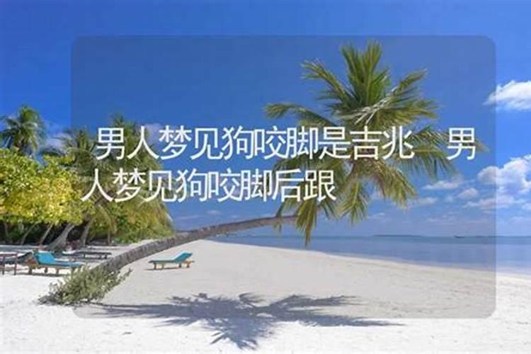 1975属兔2024以后十年大运