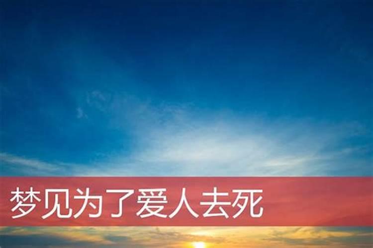 1975属兔未来十年运势如何