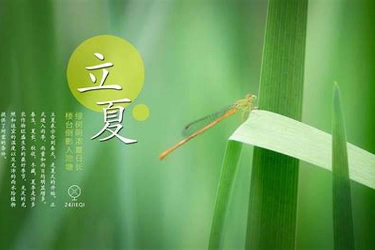 87年属兔2023劫难 情绪糟糕易多生事端