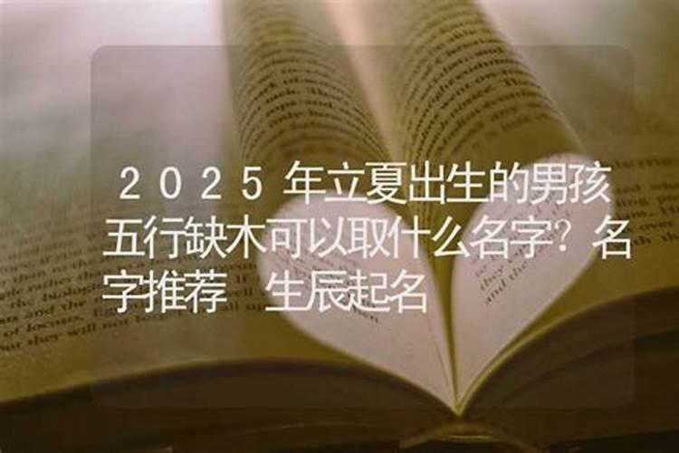 兔年犯太岁的生肖