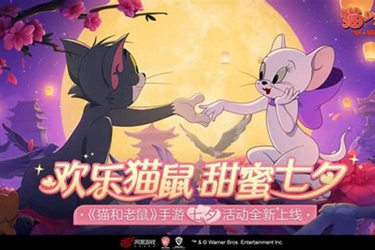 属马的养什么花好 家中养什么花运气好又旺财