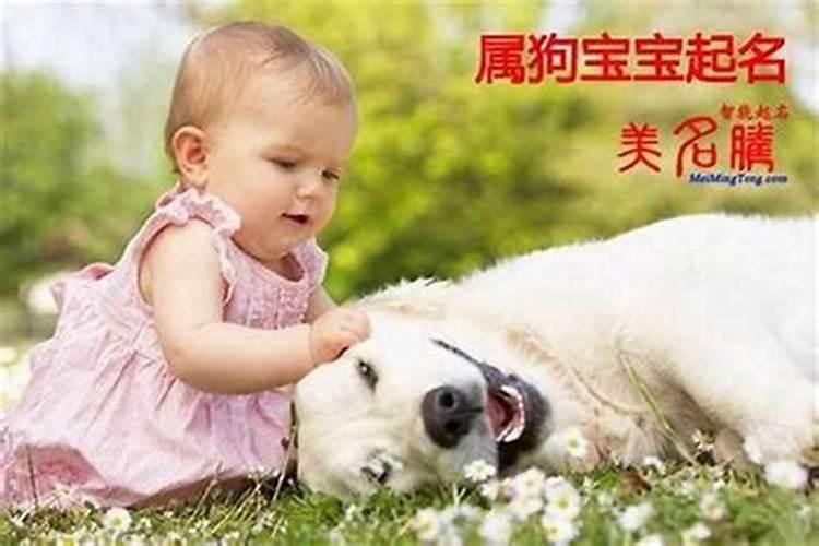 狗生于戌时是什么命呢