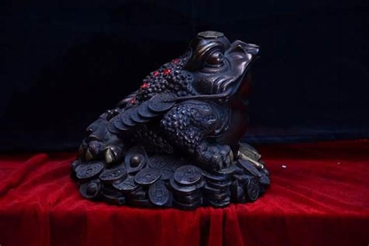 梦到金蟾好么？