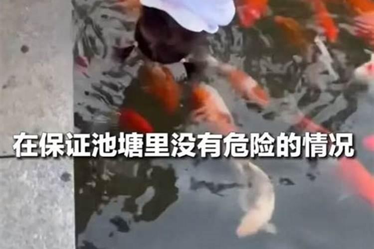 初一和十五供财神买什么供品好