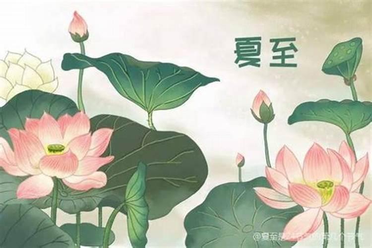 夏至是24节气中的第几个节气