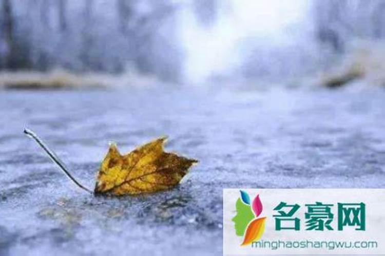 程字取名的寓意好吗