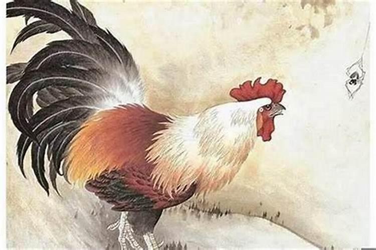 属鸡不合的属相,属鸡属相大忌婚配口诀