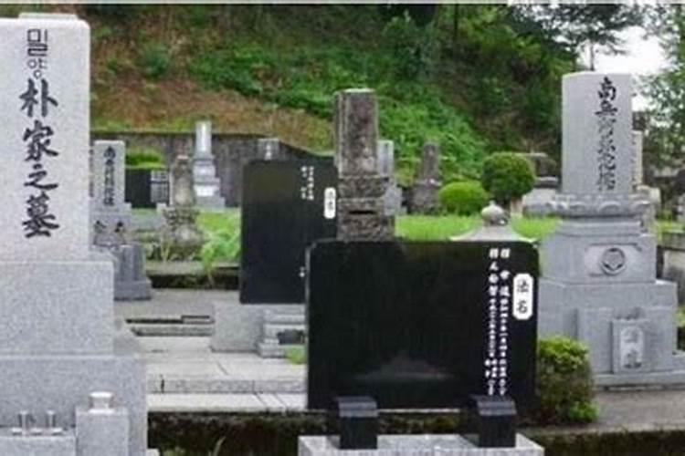 88属龙一生转折点在哪