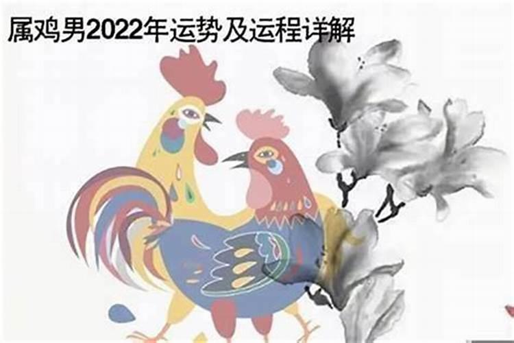 1993年属鸡人一生的运程运势