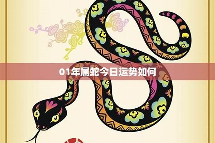 2025年5月15日属蛇人运势