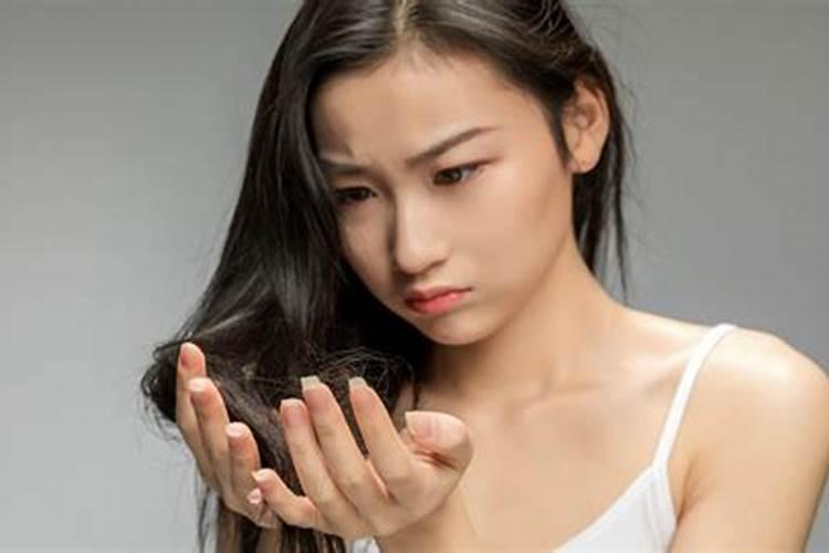 2025属狗人的运气和财运如何 2025属狗全年运势