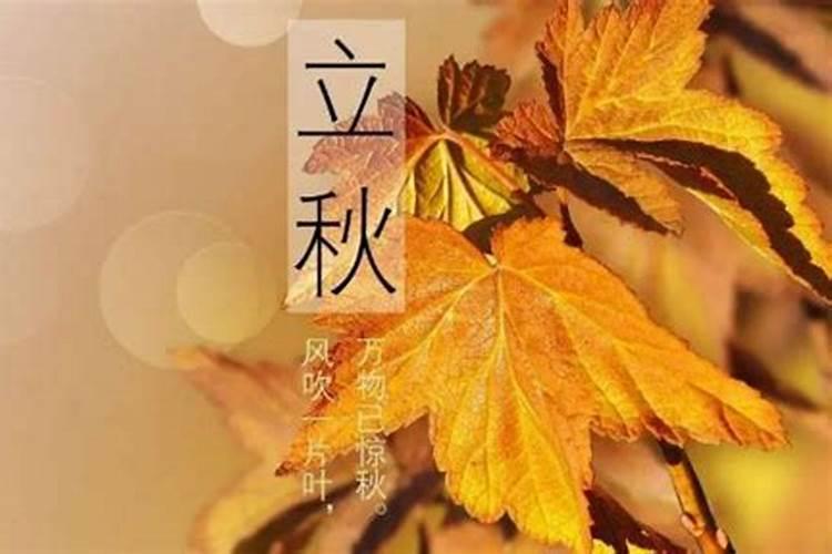 24年立秋是几月几号几点几分