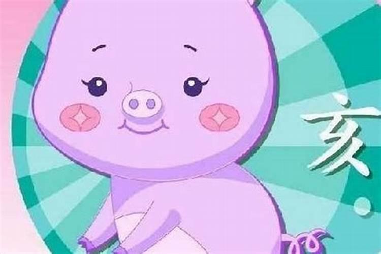 生肖属猪的租房风水招财方法