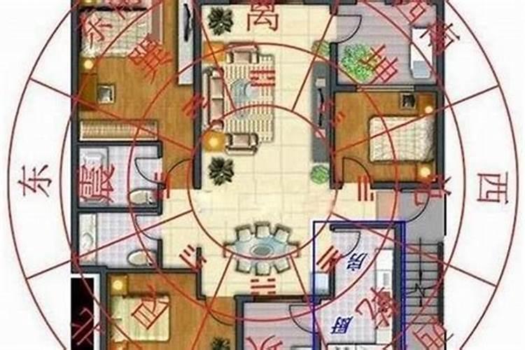 梦见哥哥死了