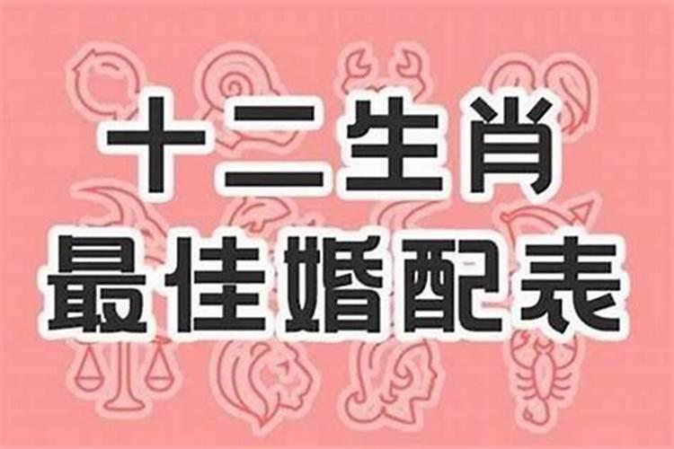 属虎的属相婚配表属虎的最佳配偶是谁