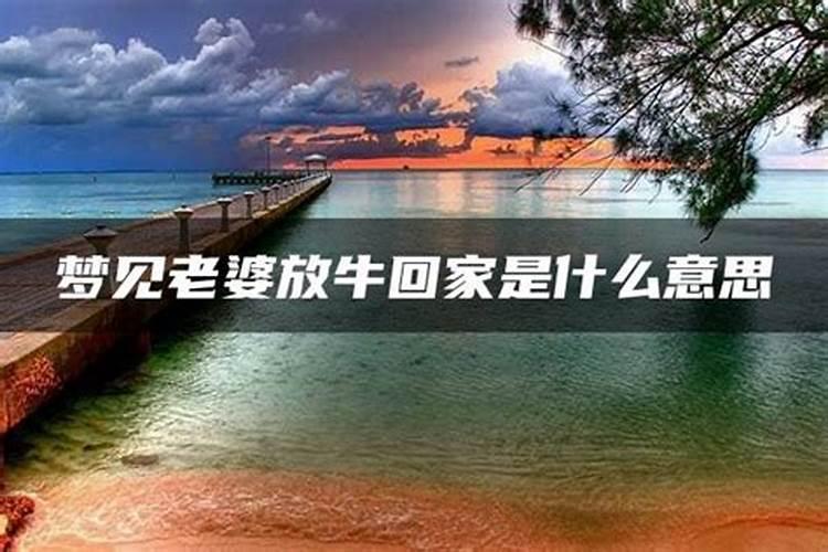 梦见老婆回家了的预兆