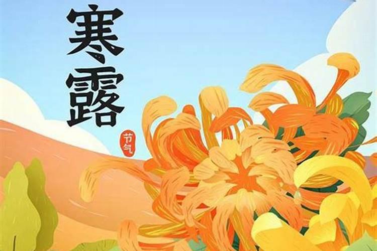 2005年农历9月初6生人运程