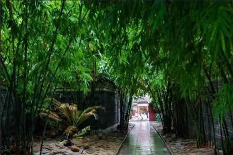 24节气立夏时节的简介
