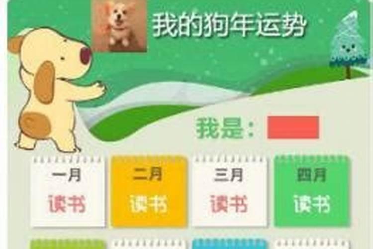 八字算命是以时候为准还是年份为准