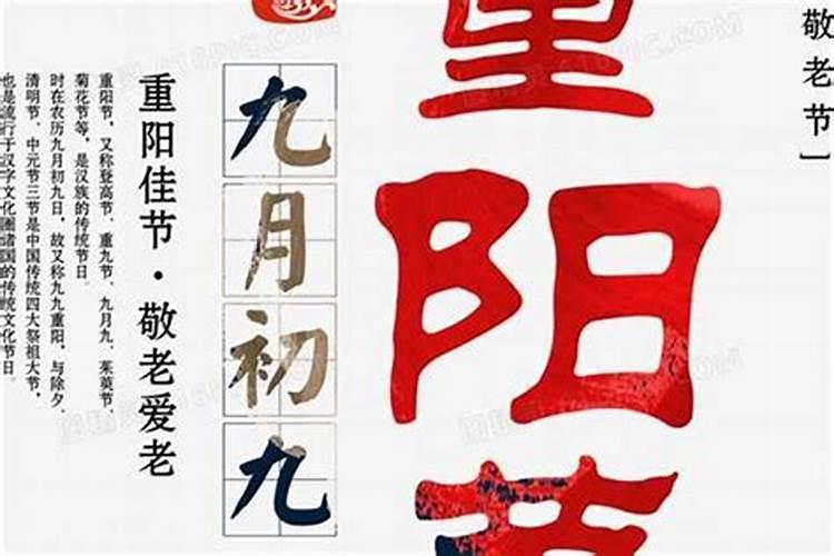 属猪人2025年全年运势及运程