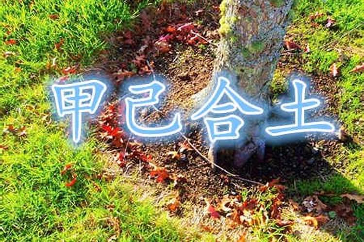 八字喜土的人如何改运？