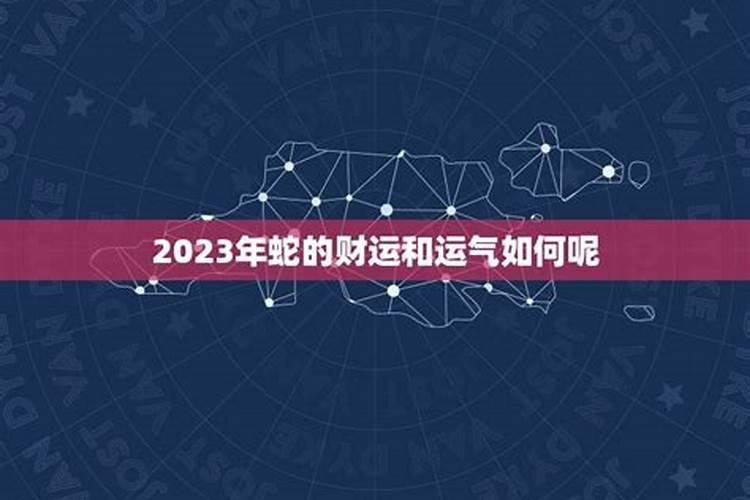 生肖蛇1977年2025年运势如何 生肖蛇1977年2025年全年运势